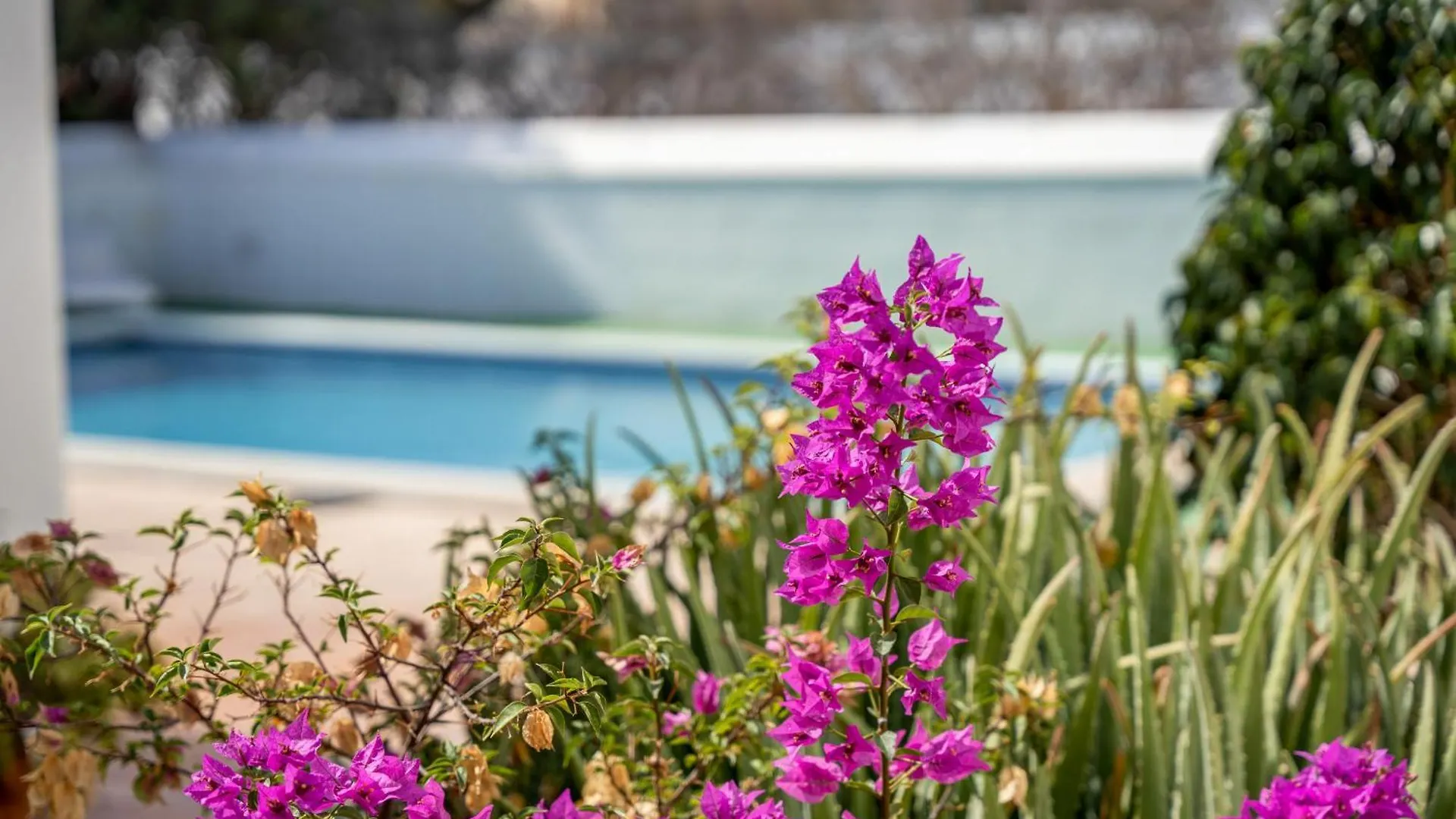 3-Bedroom Villa In Golf Del Sur San Miguel de Abona